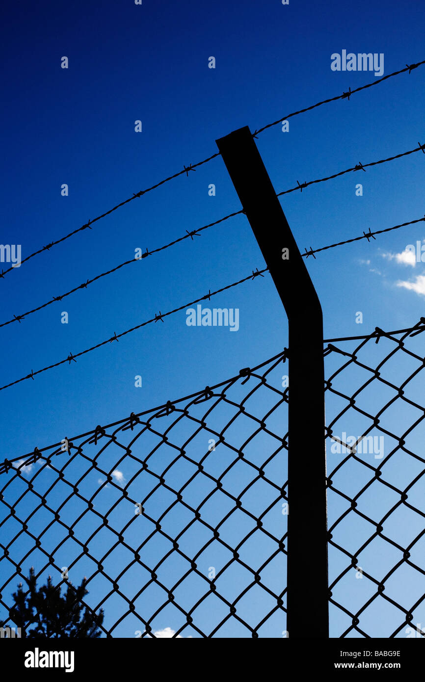 Barb wired fence Stock Photo