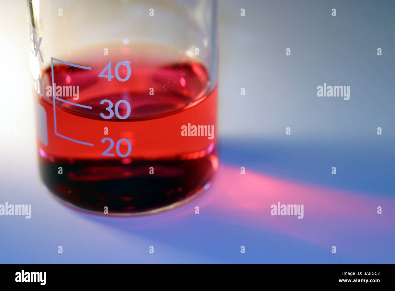 Beaker with culture medium containing phenol red pH indicator Stock