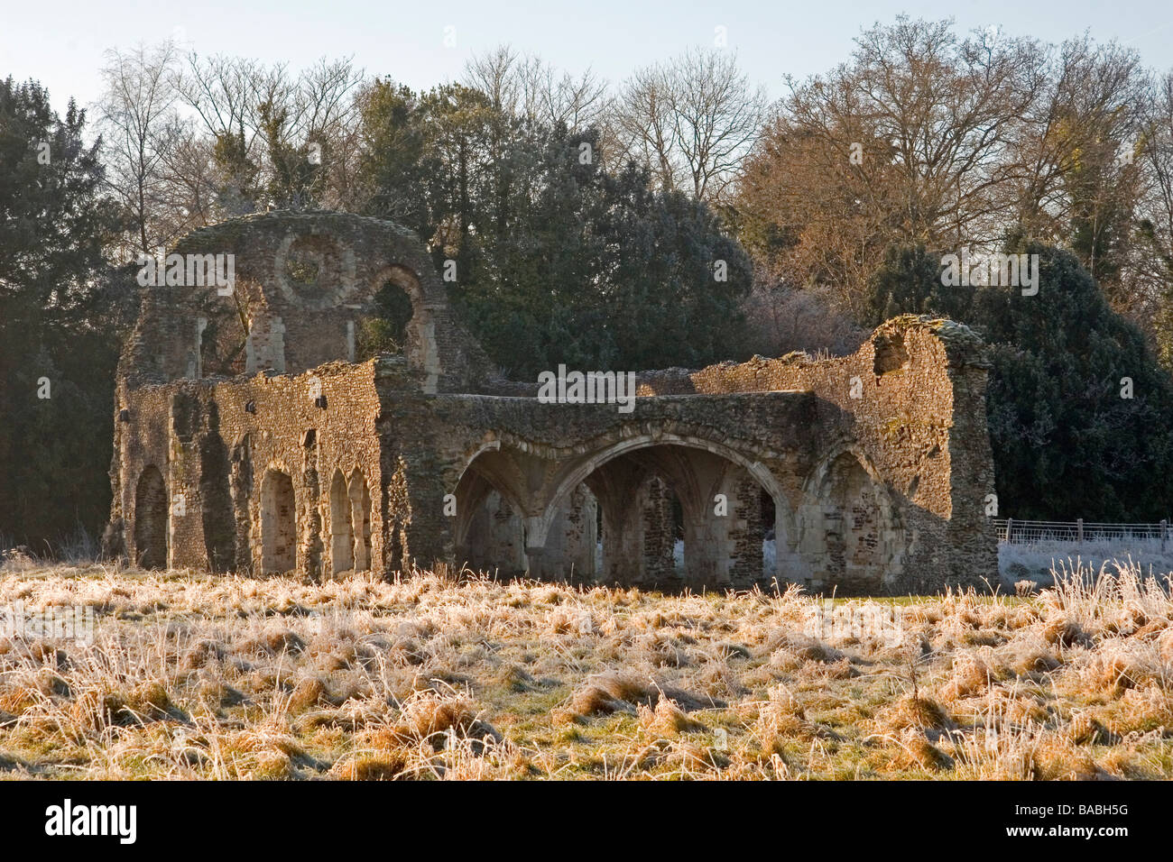 The ancient ruins of Waverley Abbey, Farnham, Surrey Stock Photo