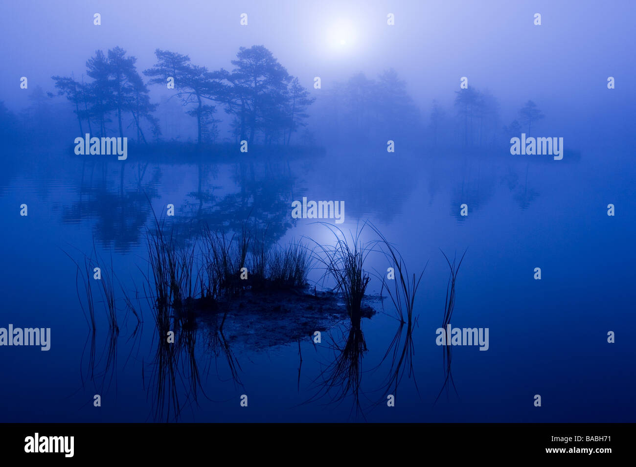 Fog over marsh hi-res stock photography and images - Alamy