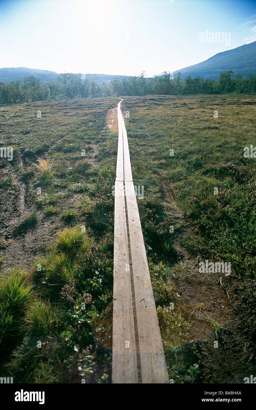 A footbridge in mountain landscape Sweden Stock Photo Alamy