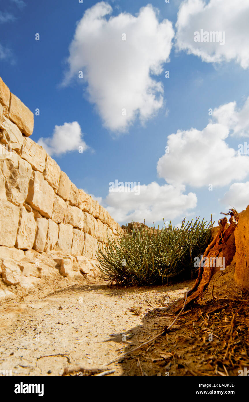 Nabataeans old hi-res stock photography and images - Alamy