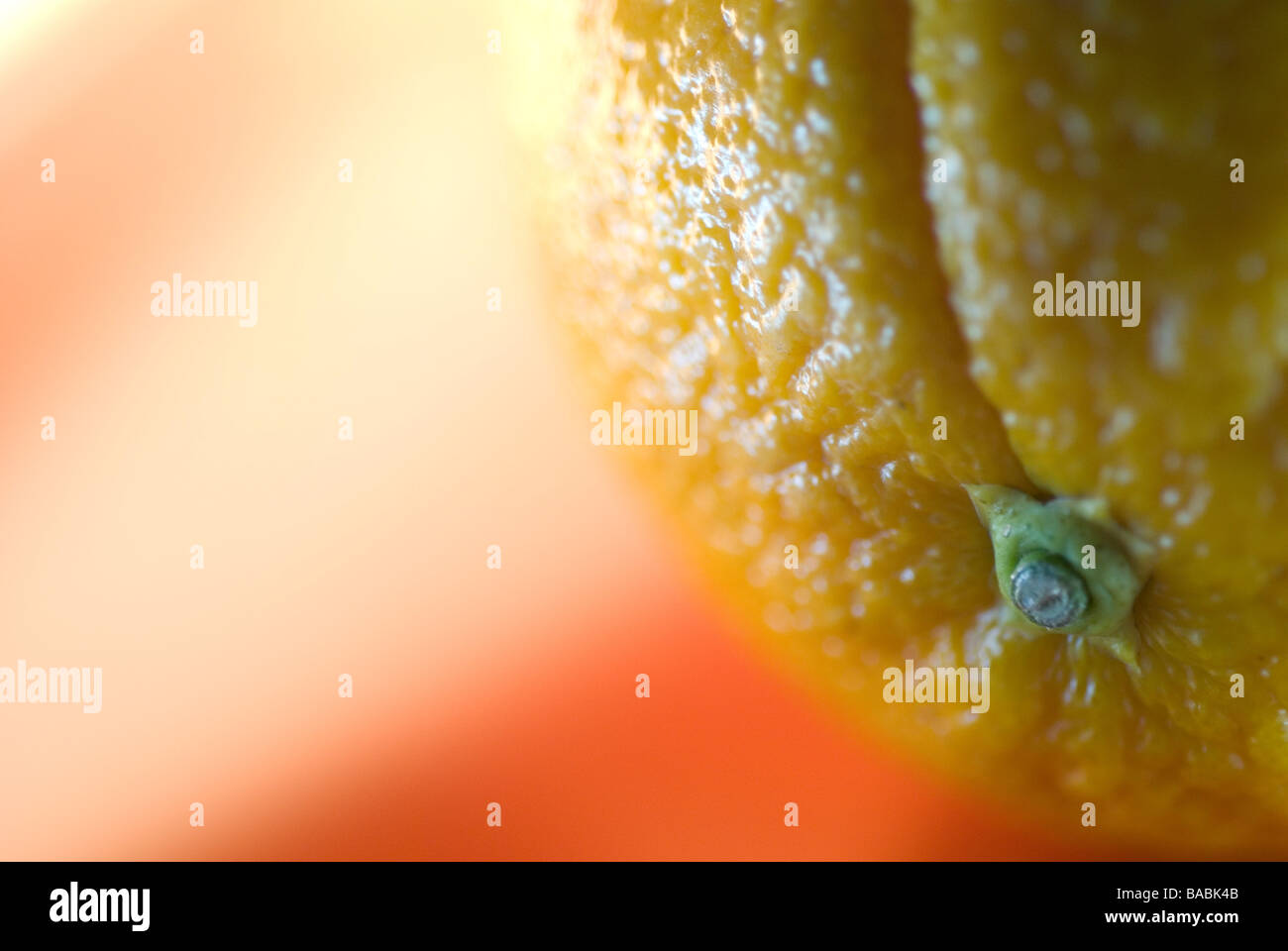 Orange Peel Skin Hi Res Stock Photography And Images Alamy