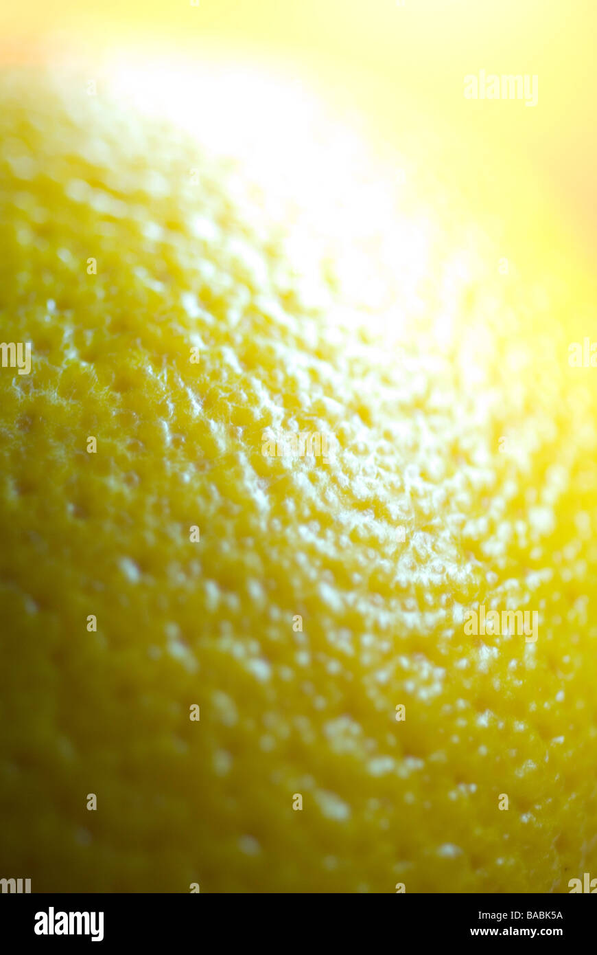 extreme closeup of orange skin Stock Photo Alamy