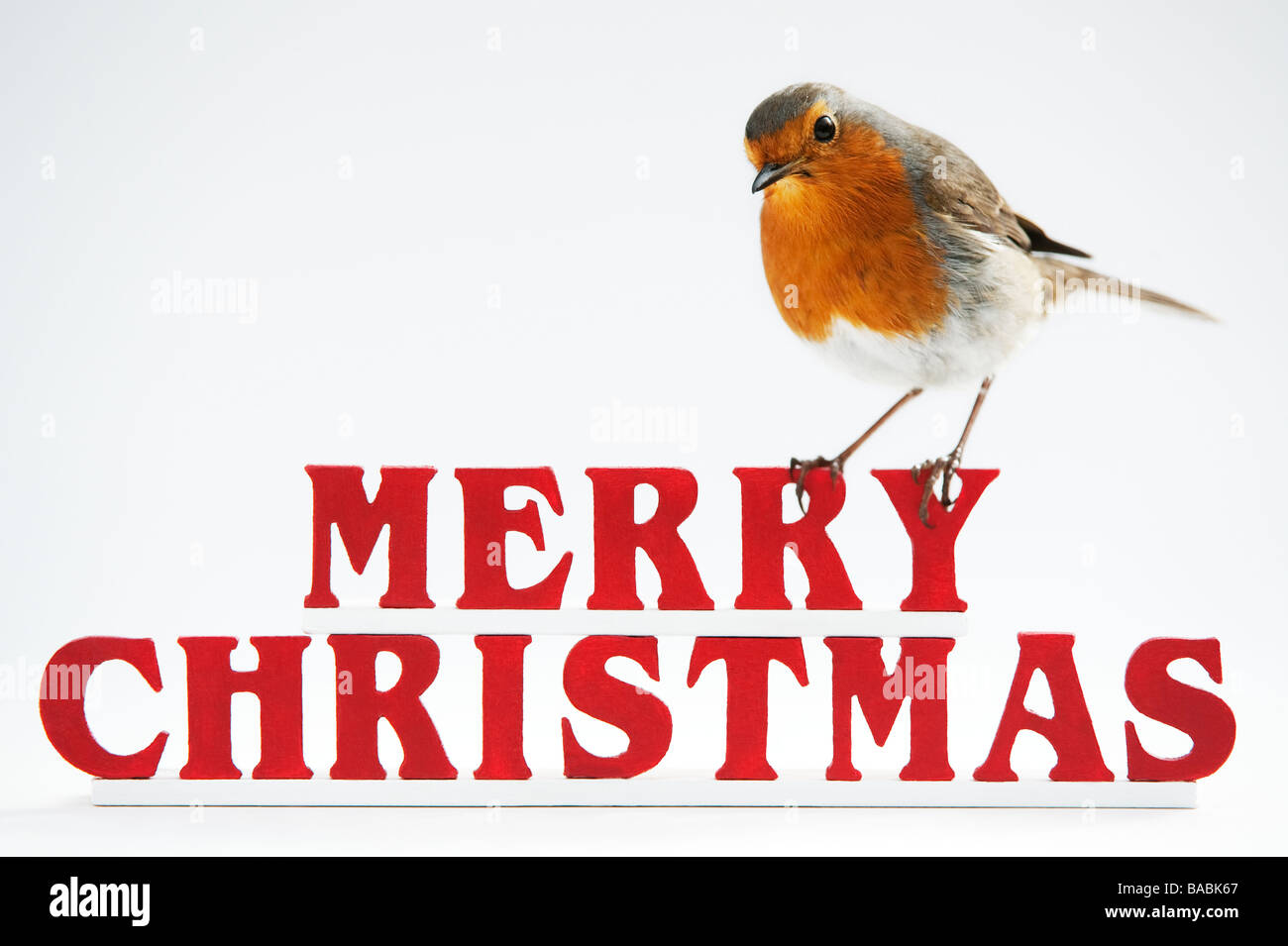 Robin on merry christmas letters Stock Photo