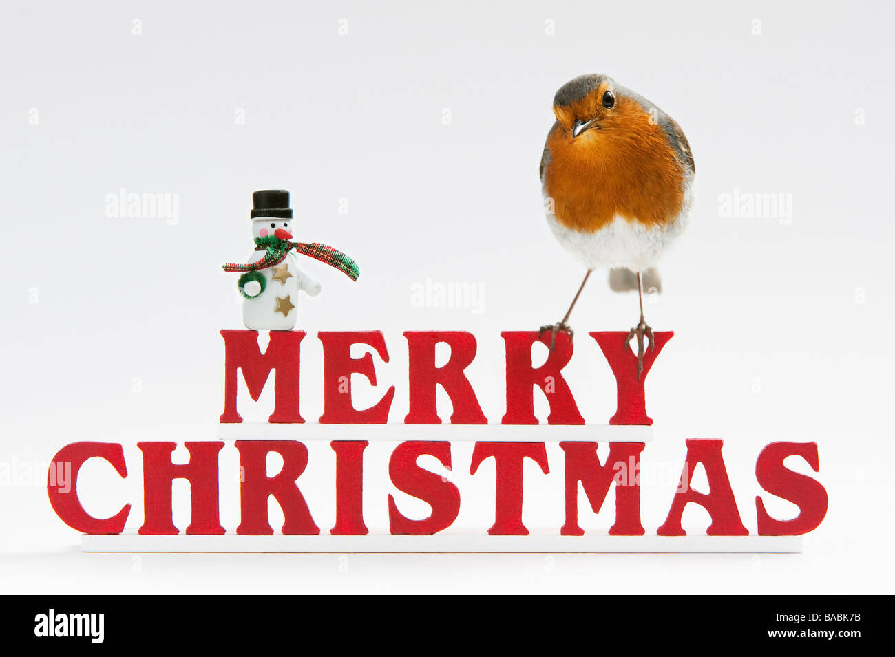 Robin on Merry Christmas letters with snowman Stock Photo