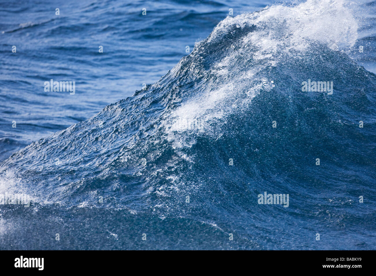 Large wave in storms on Southern Ocean Antarctica Stock Photo