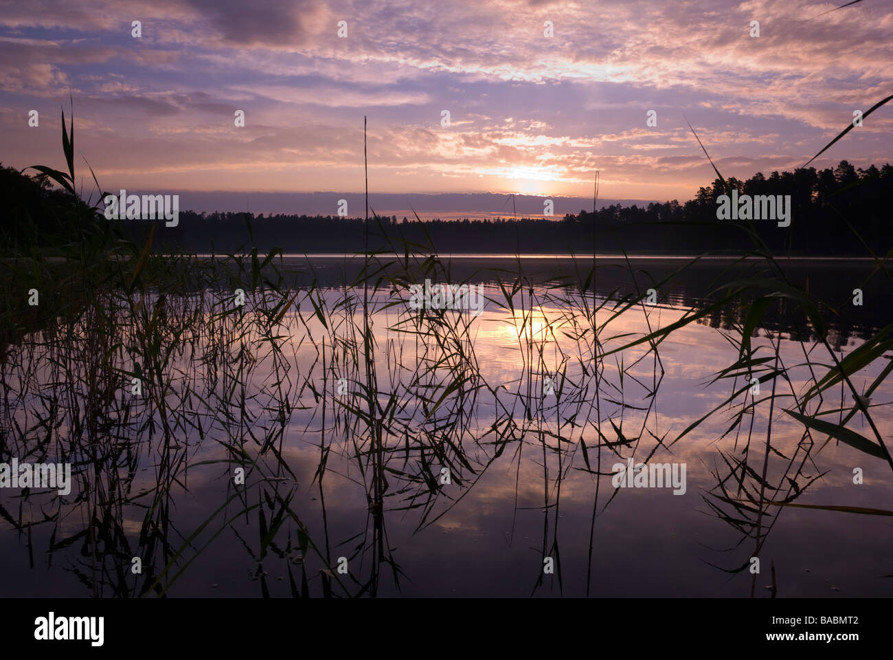 Bush sunrise with silhouette hi-res stock photography and images - Alamy
