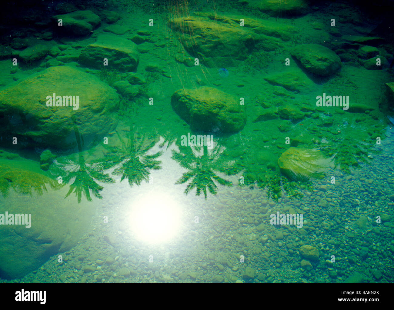 Green Pool with sun and palm reflections Grüner Pool mit Sonne und Palmenspiegelung im Wadi Tiwi Oman Stock Photo