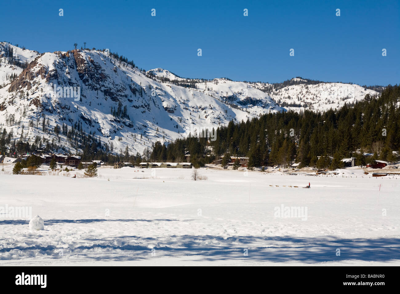 Olympic Valley California Wilderness Adventures Dog Sled Tours Stock