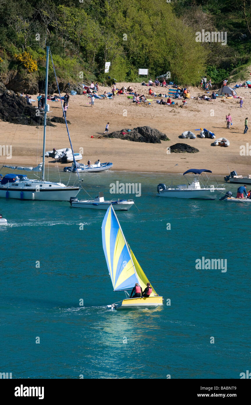 Dinghy Sailing in Harbour Devon Stock Photo Alamy
