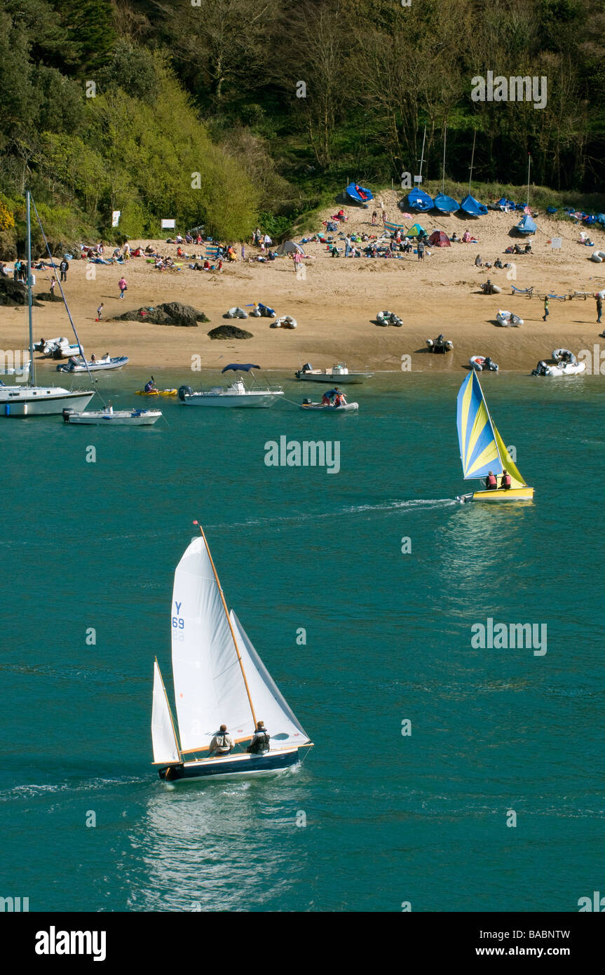 Dinghy Sailing in Harbour Devon Stock Photo Alamy