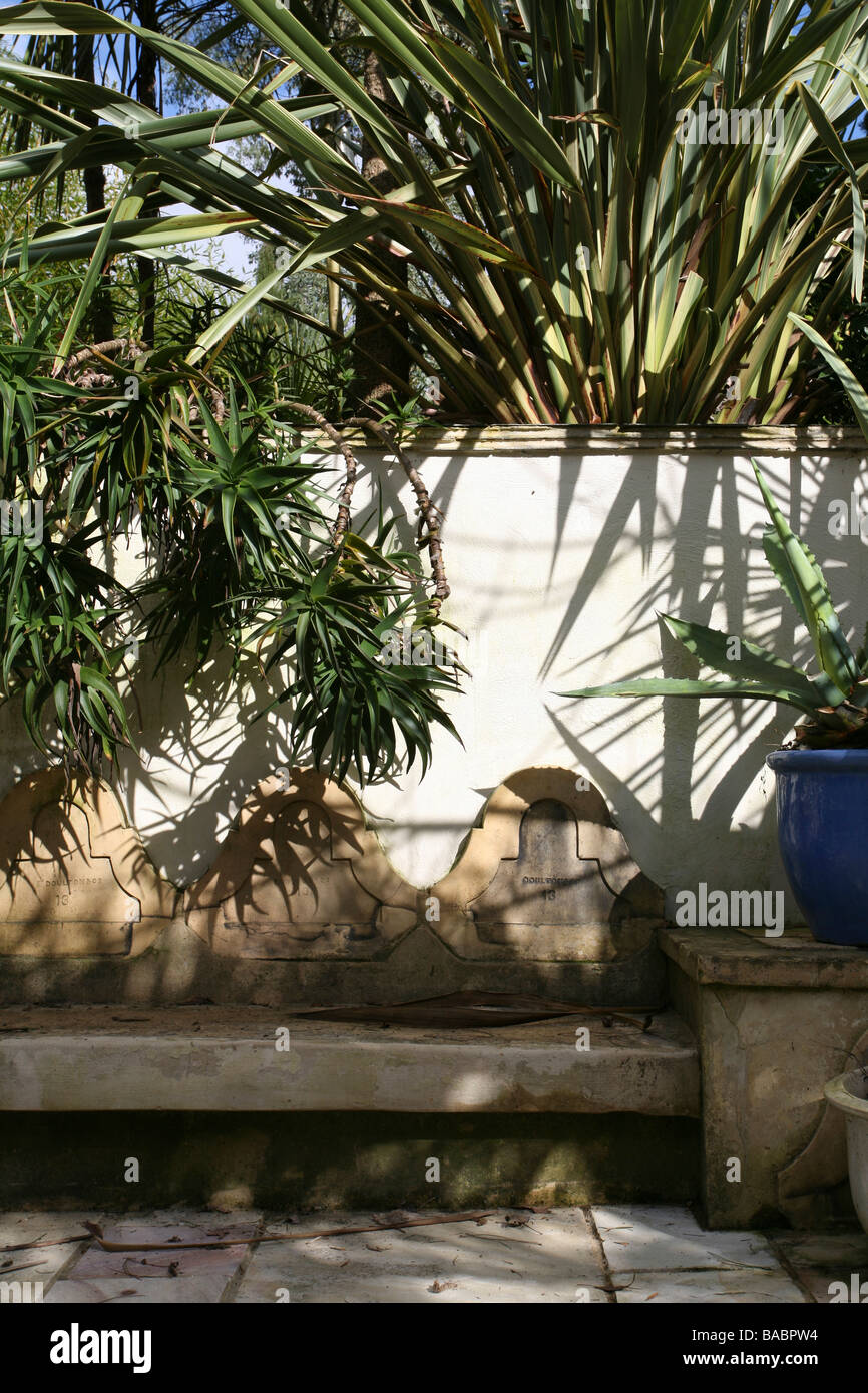 Garden built in bench / seating area and wall, surrounded by tropical style planting - Aloe striatula, Phormium tenax, sunny position Stock Photo