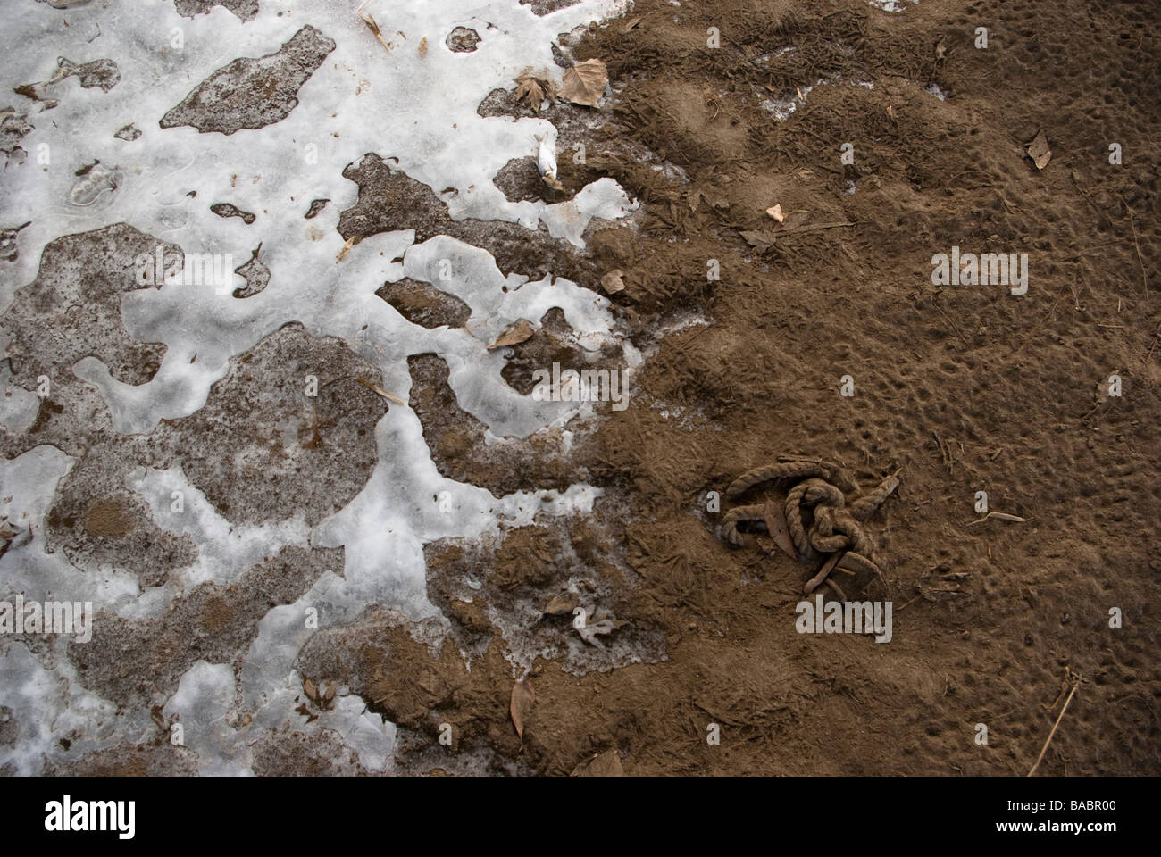 Frozen mud hi-res stock photography and images - Alamy