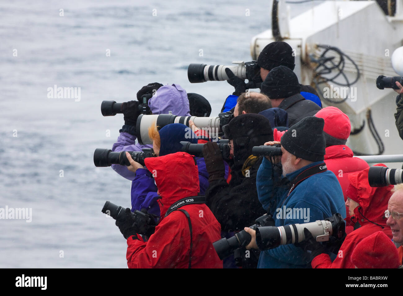 Wildlife photographers on cruise ship in Antarctica Stock Photo