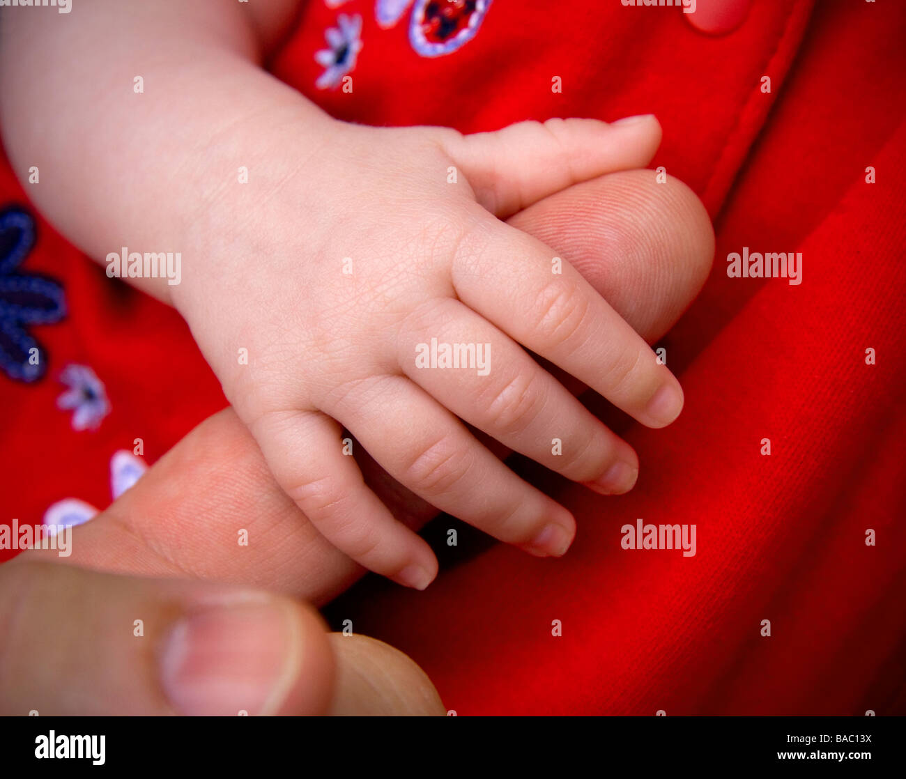 Adoption baby hi-res stock photography and images - Alamy