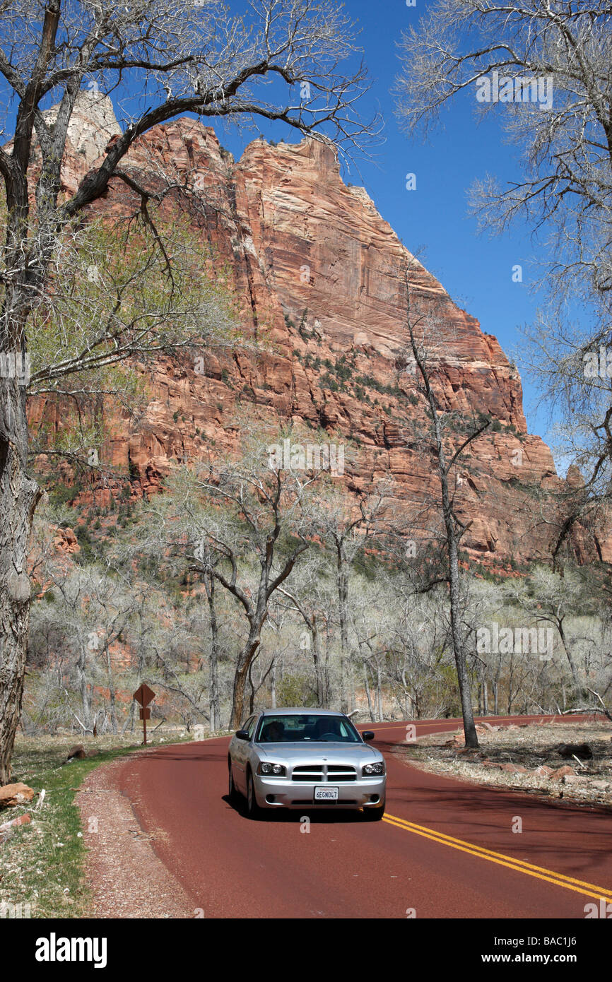 section of the scenic drive outside zion lodge zion canyon national