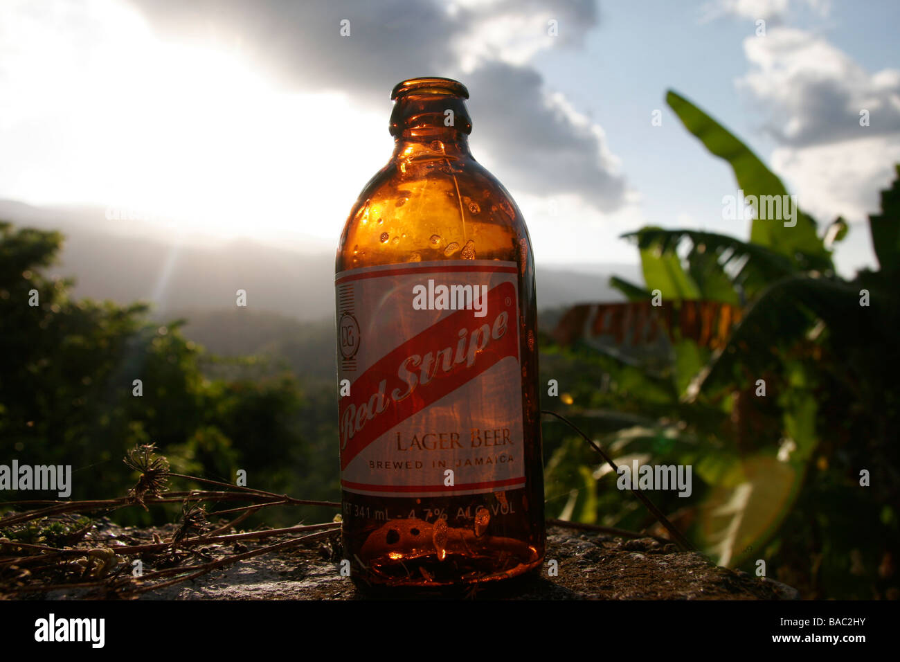 Red Stripe bottle set against beautiful Jamaican mountains Stock Photo