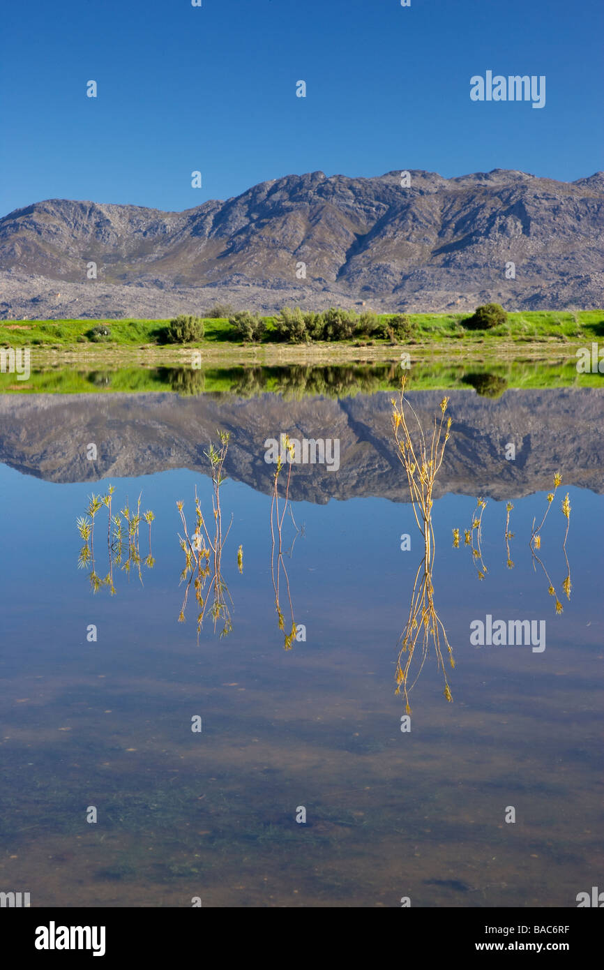 Reflection of mountain in dam, Ceres, Western Cape Province, South Africa Stock Photo