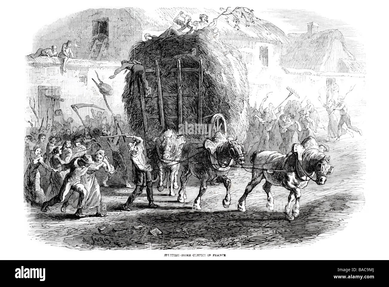 harvest home custom in france 1854 horse cart straw hay whip scythe sickle reaper Stock Photo