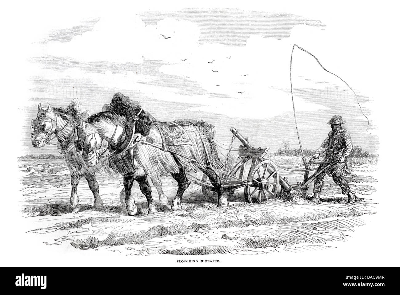 ploughing in france 1854 plough farming cultivation horses agriculture Stock Photo