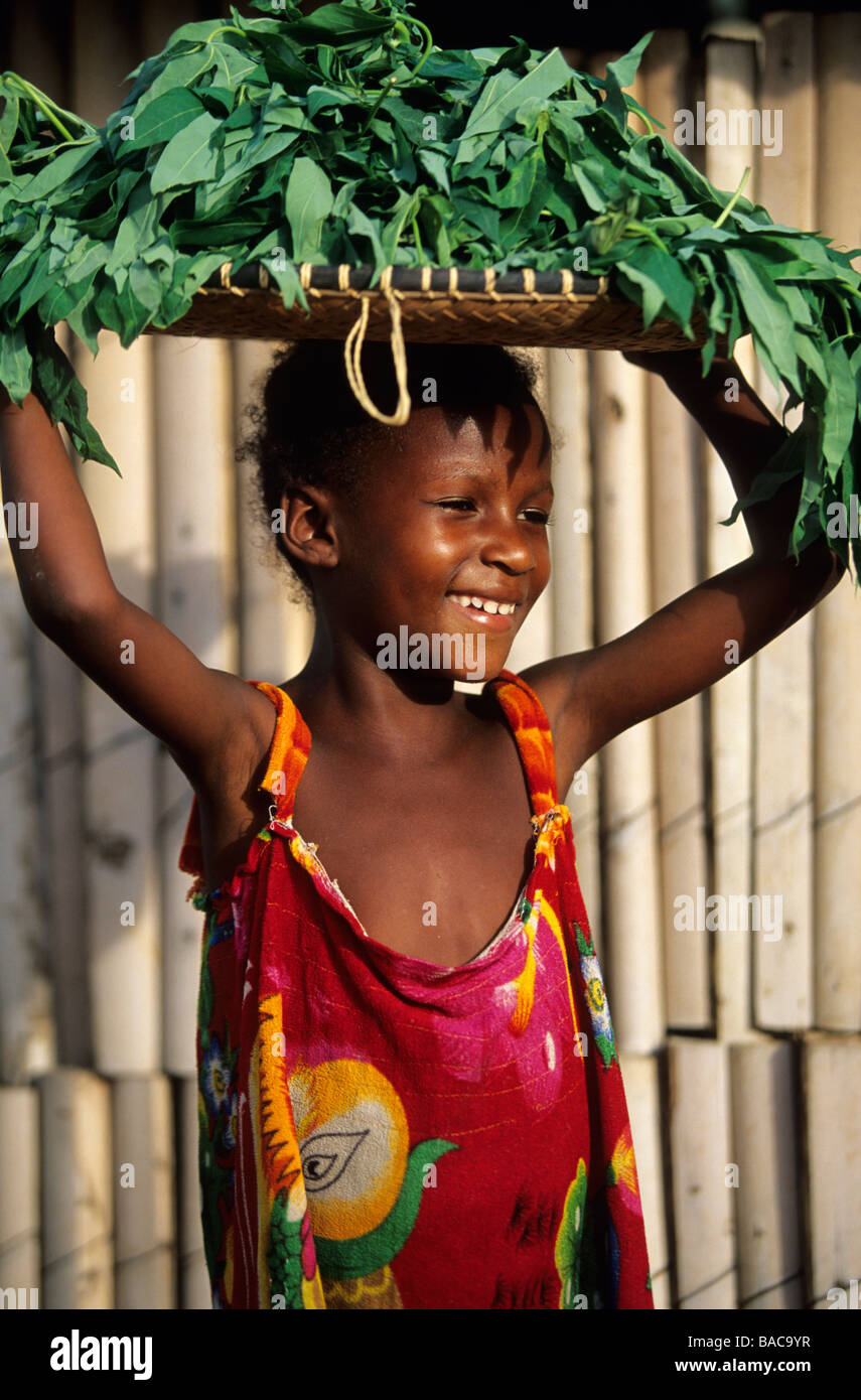 Madagascar, Antsiranana Region, Diego Suarez, a young girl carrying kat leaves Stock Photo