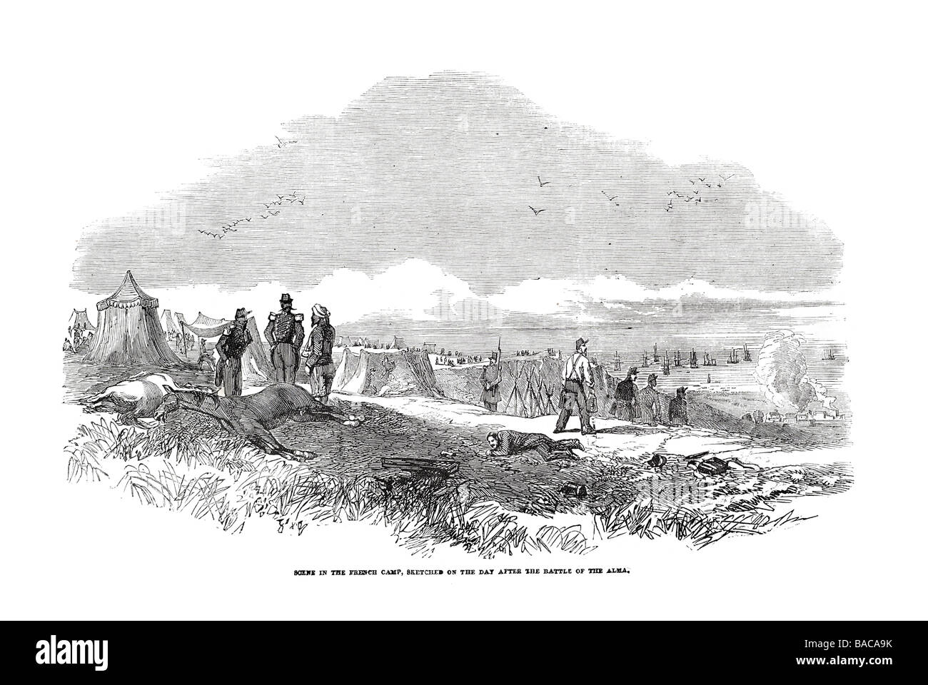 scene in the french camp sketched on the day after the battle of alma 1854 tent dead horse soldier army military base Stock Photo