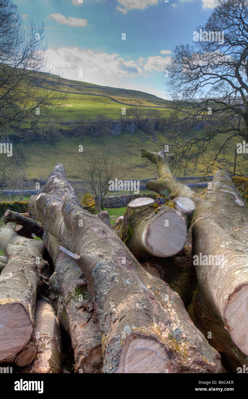 Taken On A 5 Mile Walk Called Buckden Langstrothdale Chase In The taken-on-a-5-mile-walk-called-buckden-langstrothdale-chase-in-the