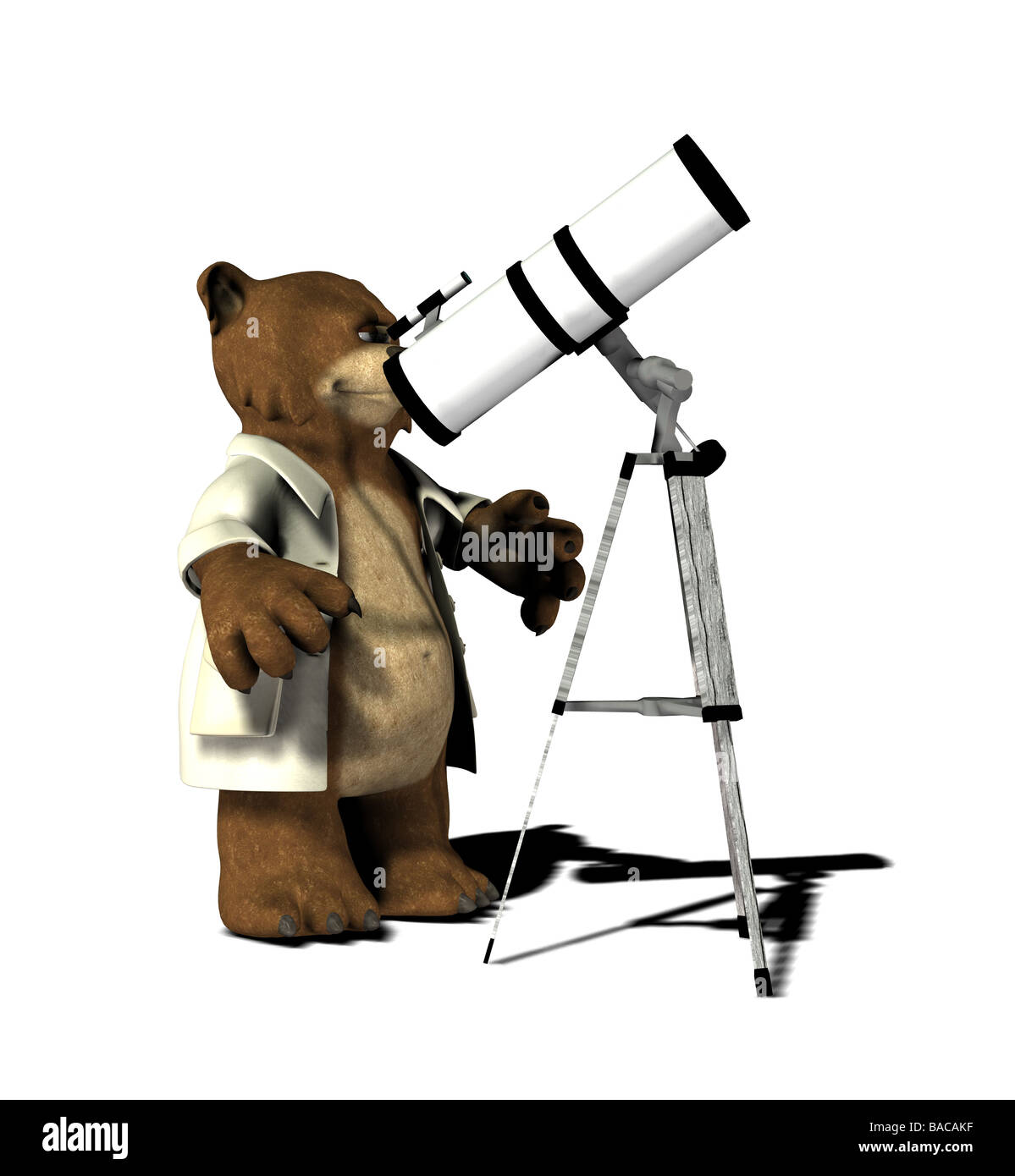 bear with telescope Stock Photo