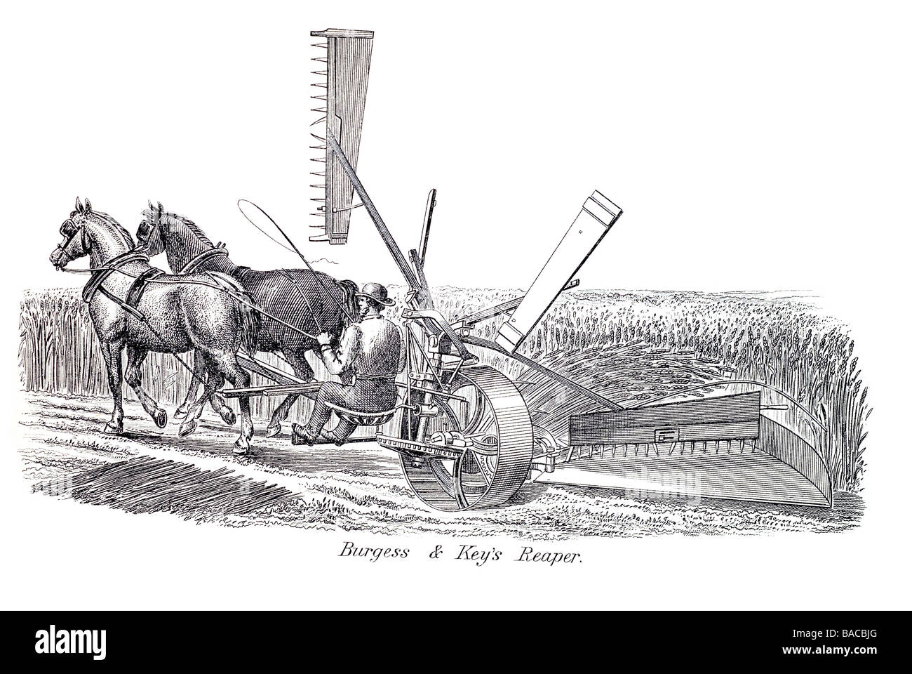 burges & key's reaper reaps cuts gathers reap cut gather crops crop