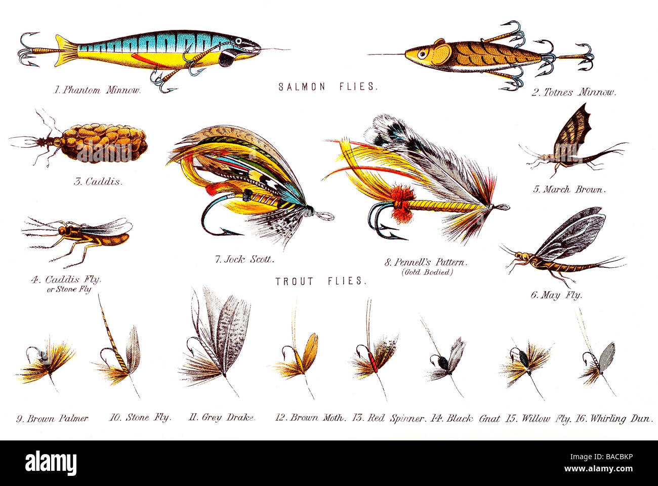 Salmon flies hi-res stock photography and images - Alamy