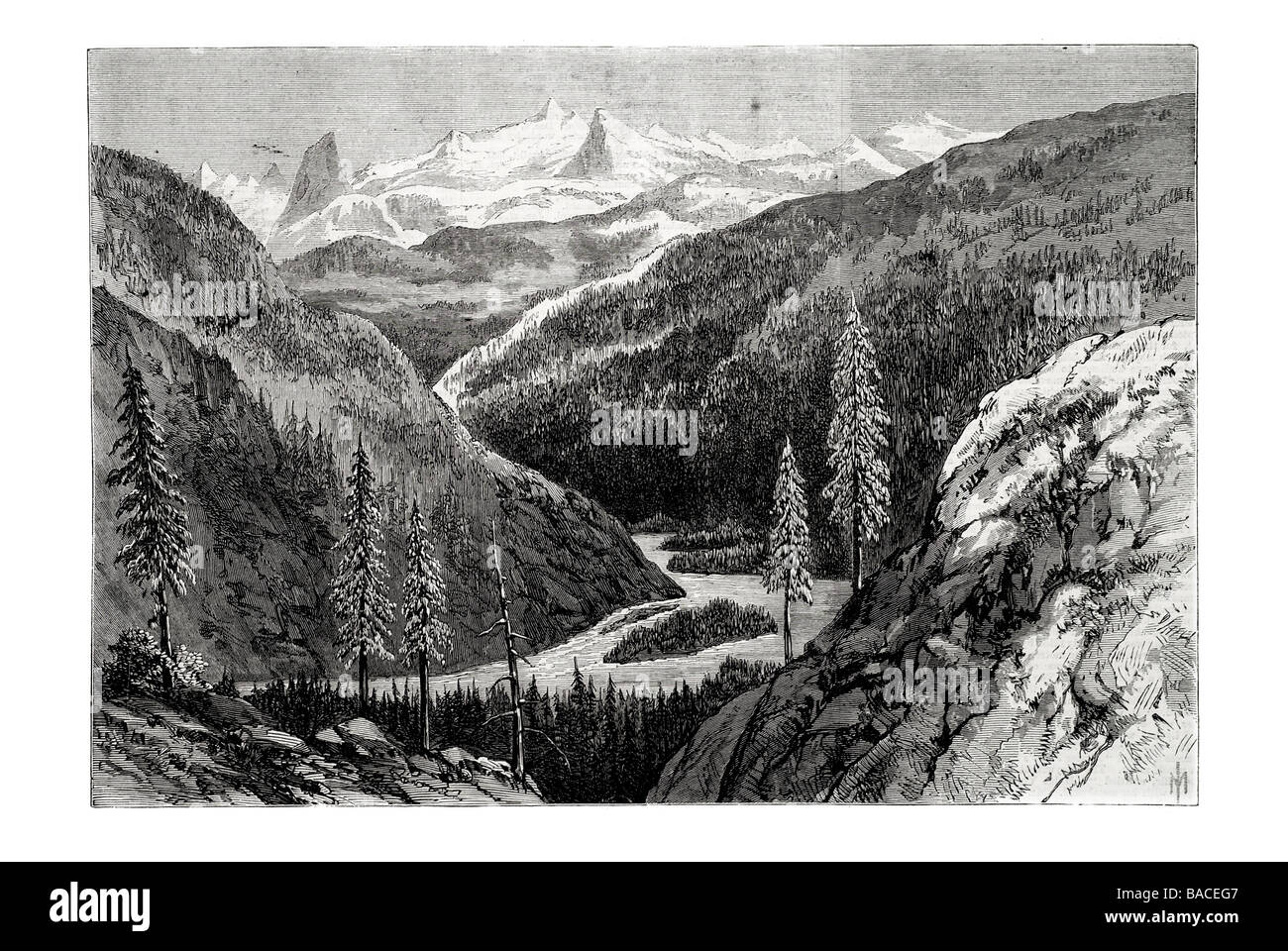 Valley below the Defile at the head of Bute inlet 1868 Stock Photo