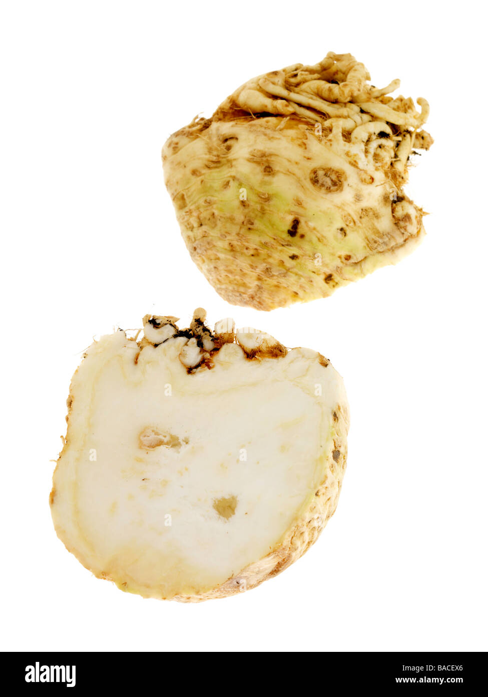 Fresh Healthy Celeriac Aromatic Vegetable Isolated Against A White Background With No people And A Clipping Path Stock Photo