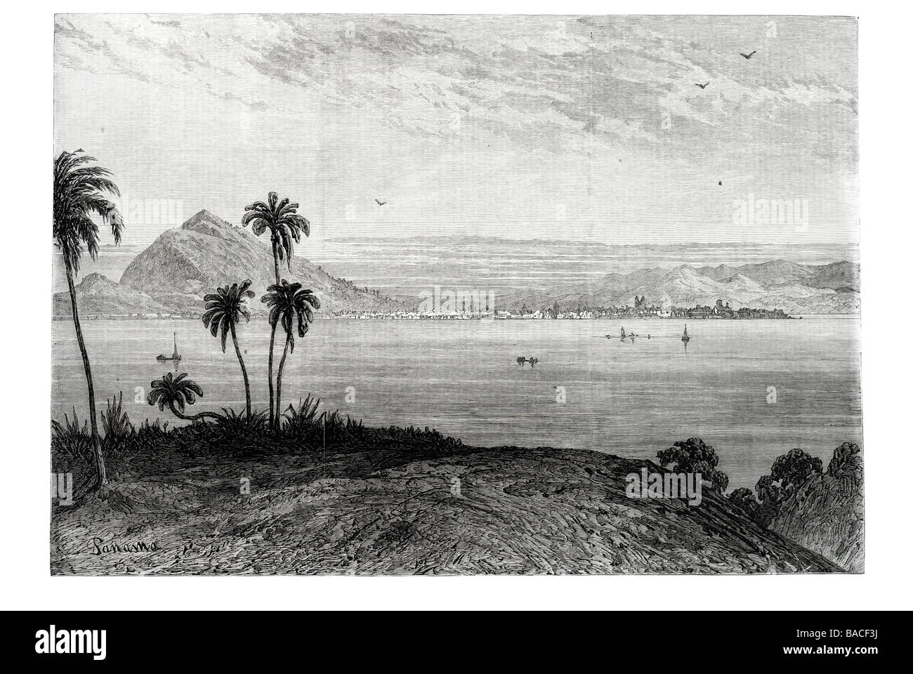 Panama port from a water colour drawing by e hildebrandt 1868 Stock Photo