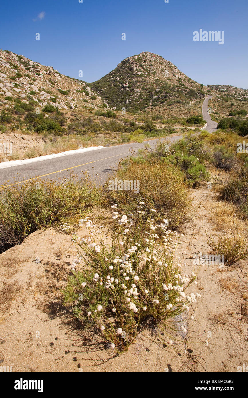Mexico, Baja California, road between San Telmo and Sierra de San Pedro Martir National Park Mexico, Baja California, road between San Telmo and Sierra de San Pedro Martir National Park
