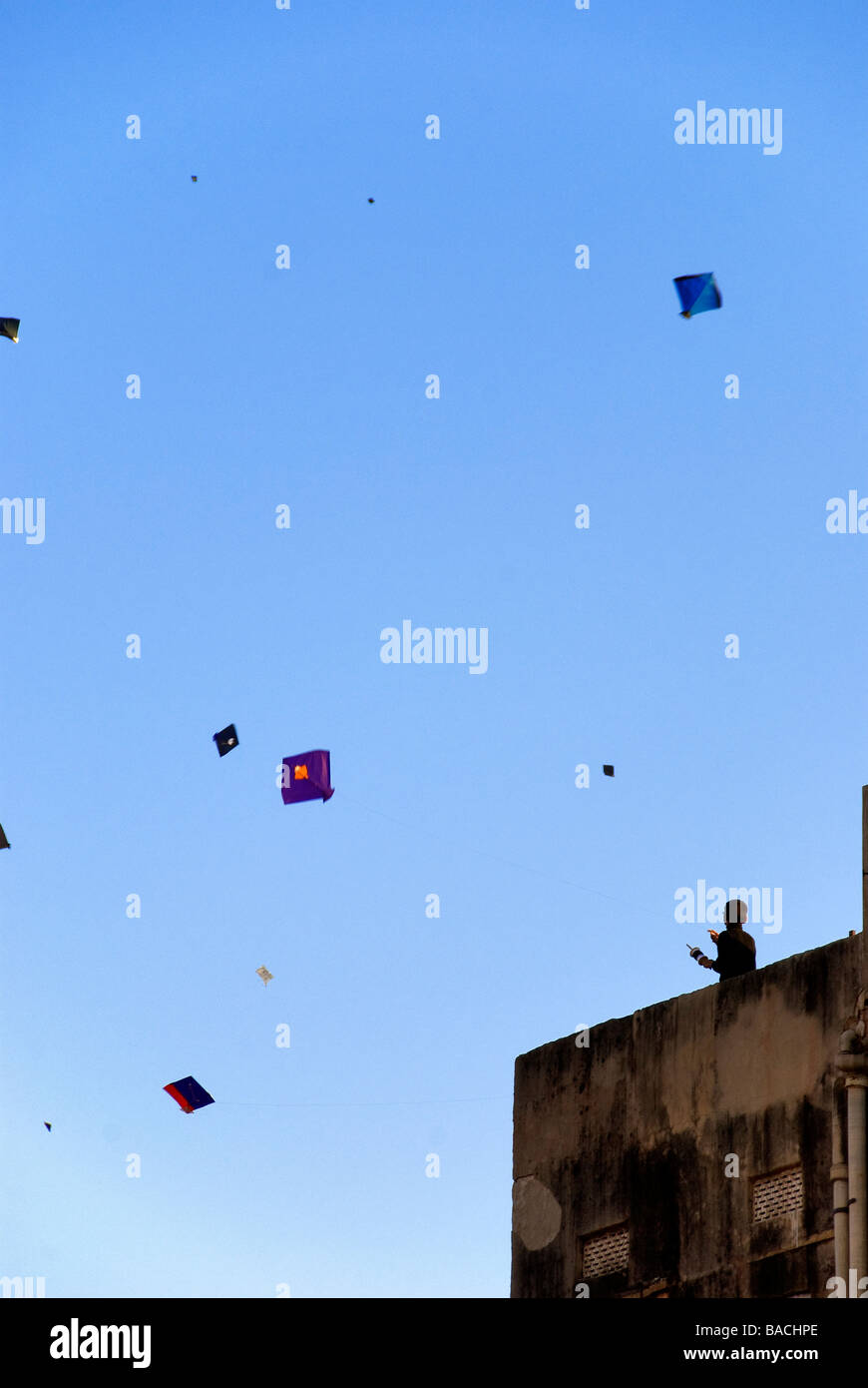 India, Rajasthan State, Jaipur, the feast of the kite, children playing