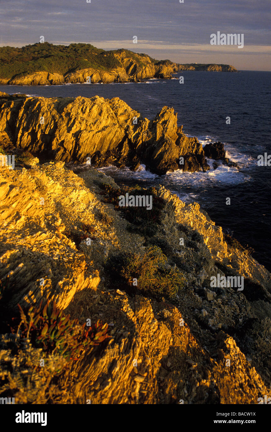 France, Var, Ile de Porquerolles, rocky coastal area Stock Photo