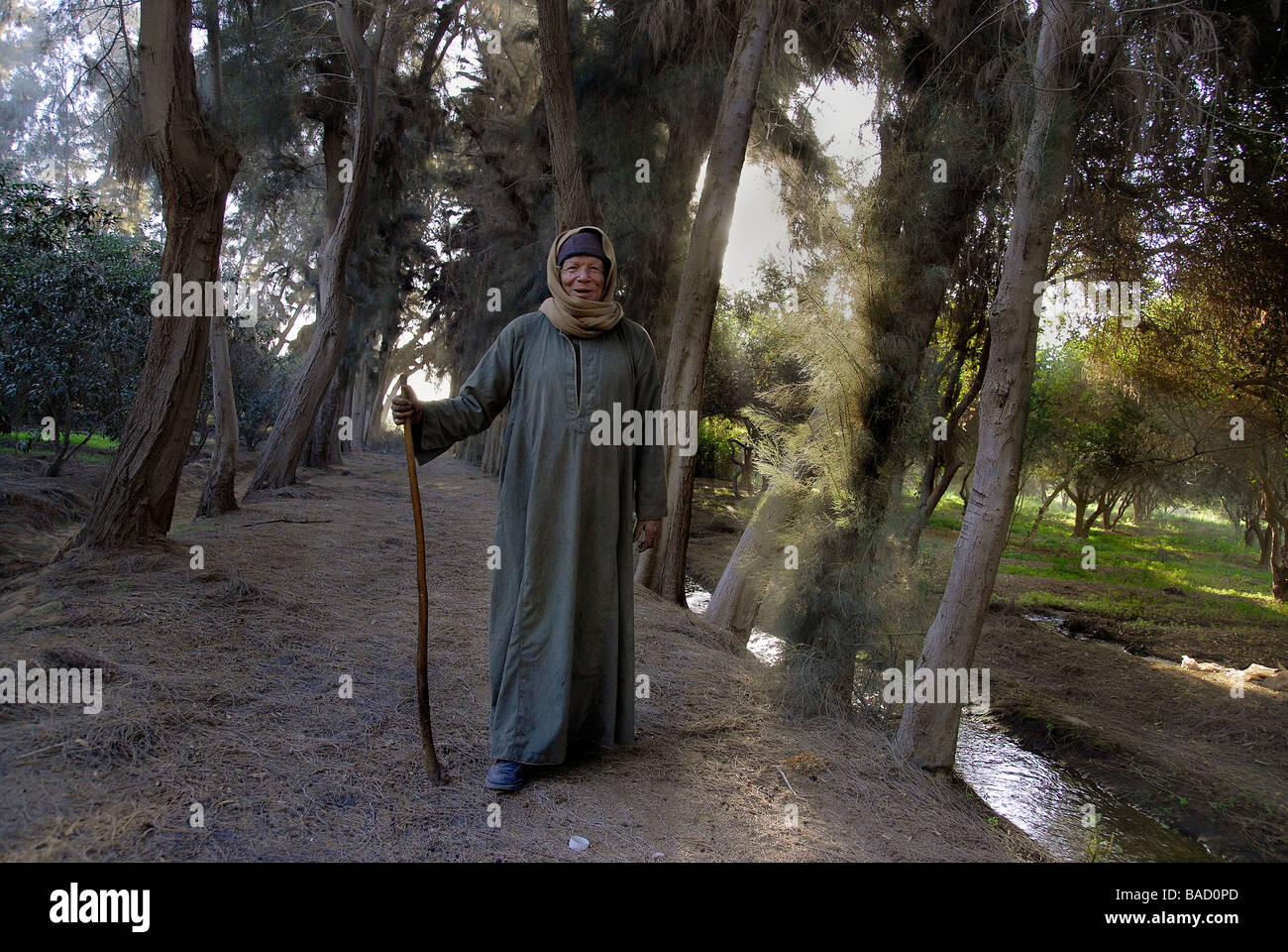 This ex-leper is strong enough to work on one of the leprosy grounds, a small forest with olive trees and cactus plants Stock Photo