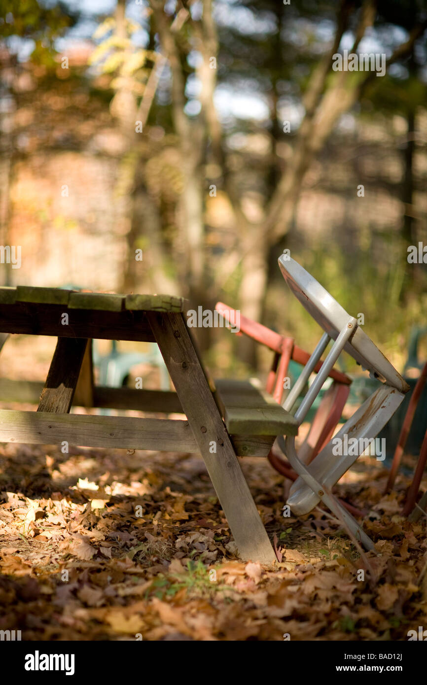 Abandoned furniture in the woods Stock Photo