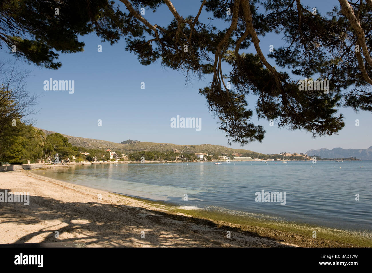 Beautiful sandy beach and blue sky and sea at the spanish resort of Puerto Pollensa Mallorca