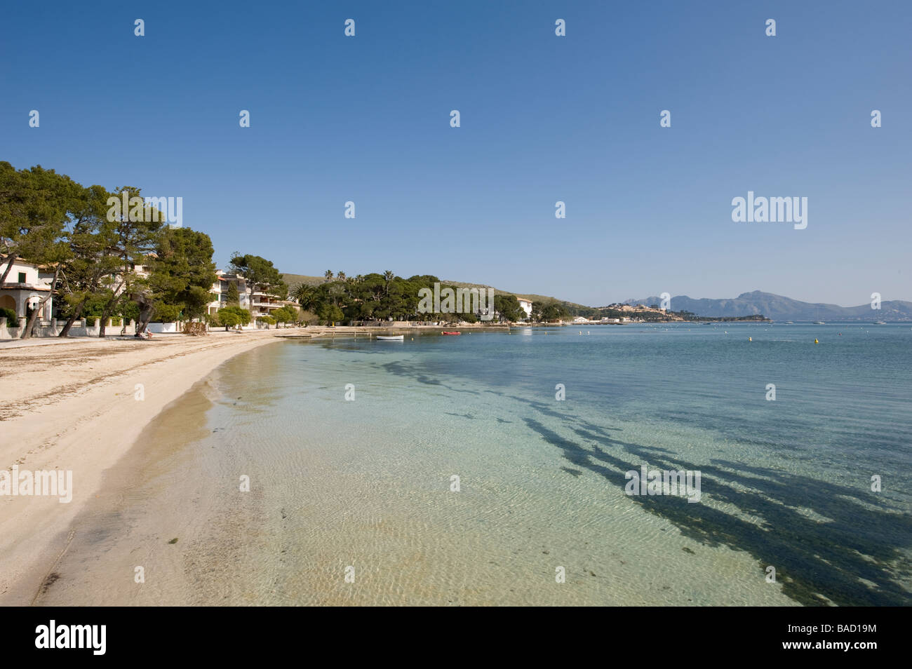 Beautiful sandy beach and blue sky and sea at the spanish resort of Puerto Pollensa Mallorca