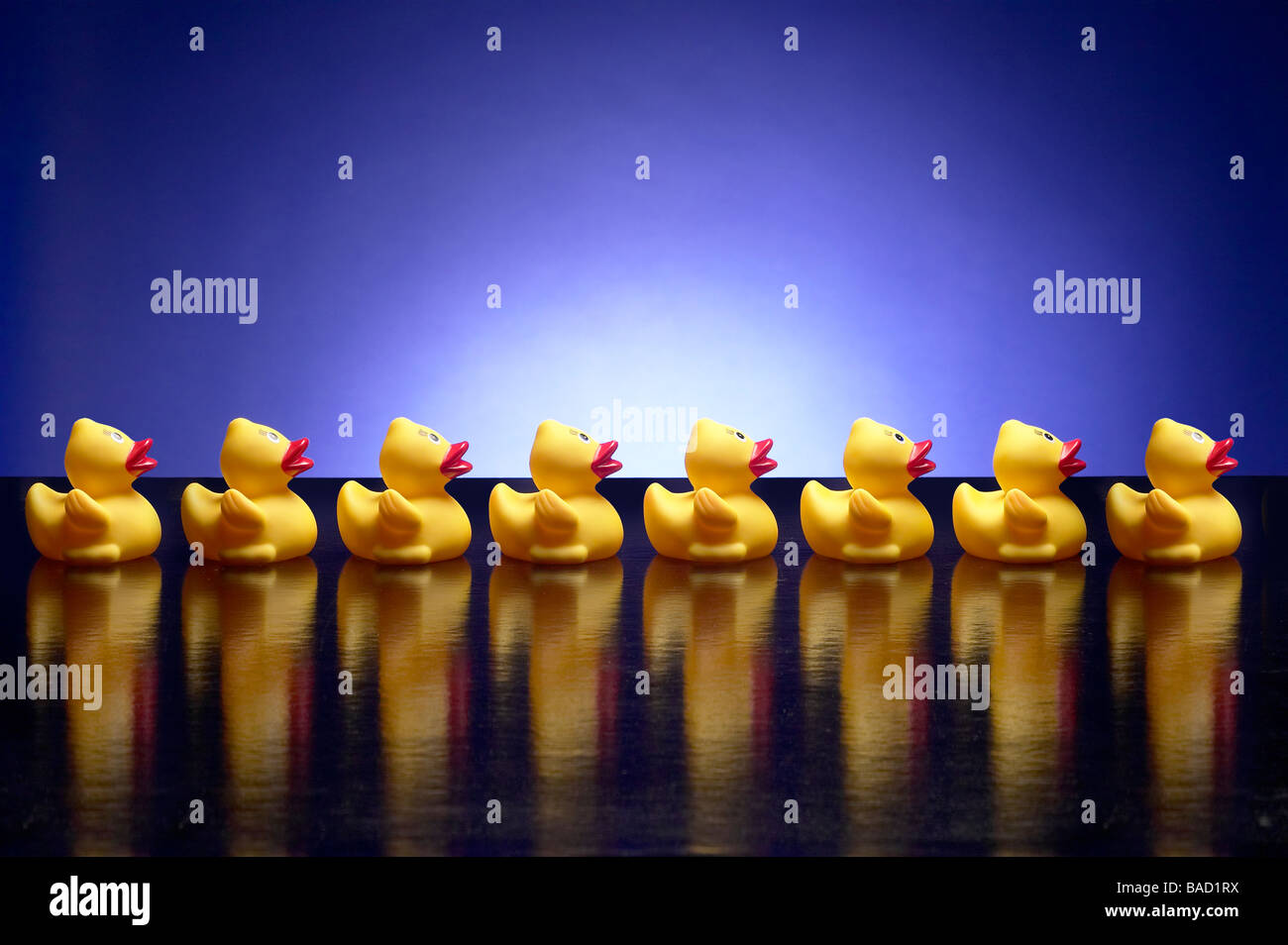 Ducks In A Row Stock Photo - Alamy