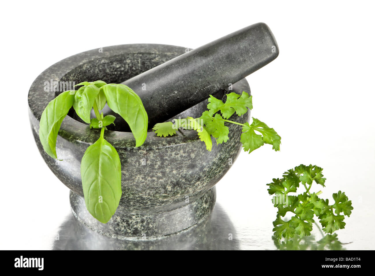 granite Mortar and pestle with herbs in preparation for grinding Stock