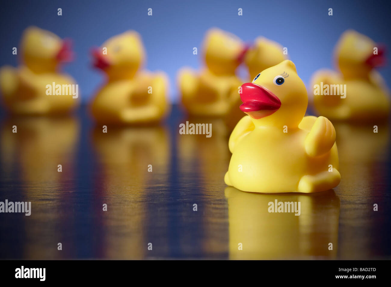 Toy Rubber Ducks Stock Photo