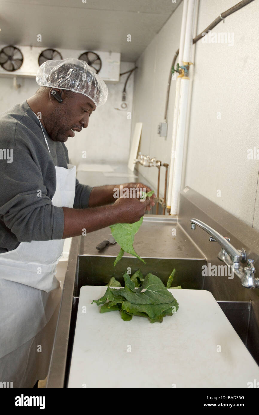 African American Farmers Cooperative Stock Photo