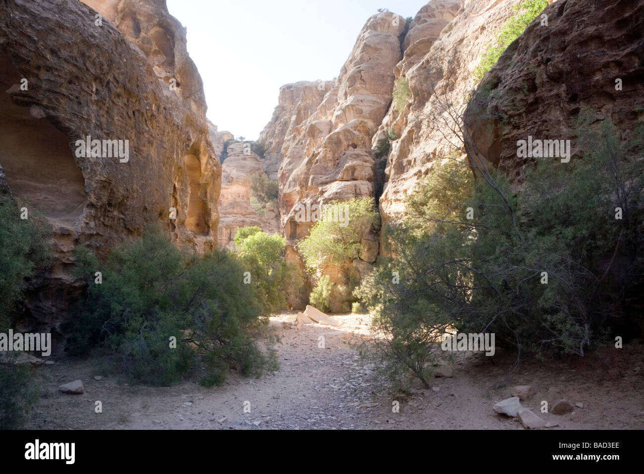 Jordan trail petra hi-res stock photography and images - Alamy