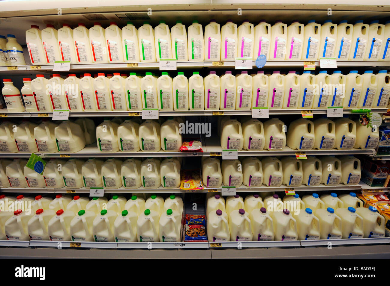 Containers of milk in a supermarket refrigerator in New York Stock Photo -  Alamy