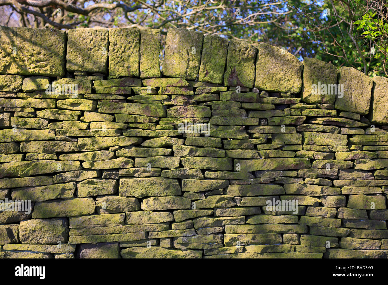 Dry stone wall detail, West Yorkshire, England, UK. Stock Photo