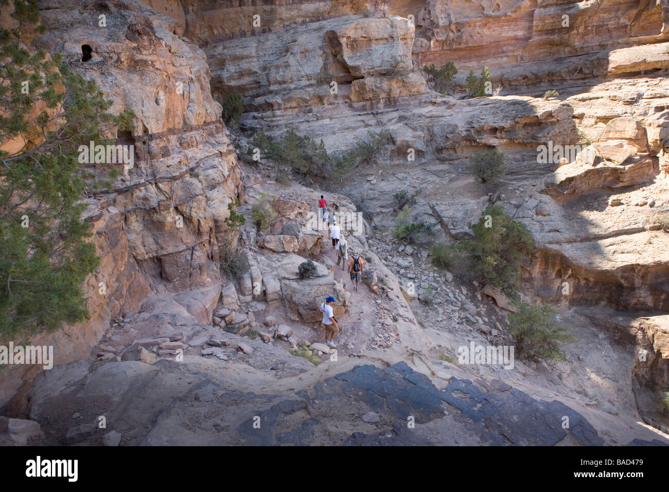 Jordan trail petra hi-res stock photography and images - Alamy