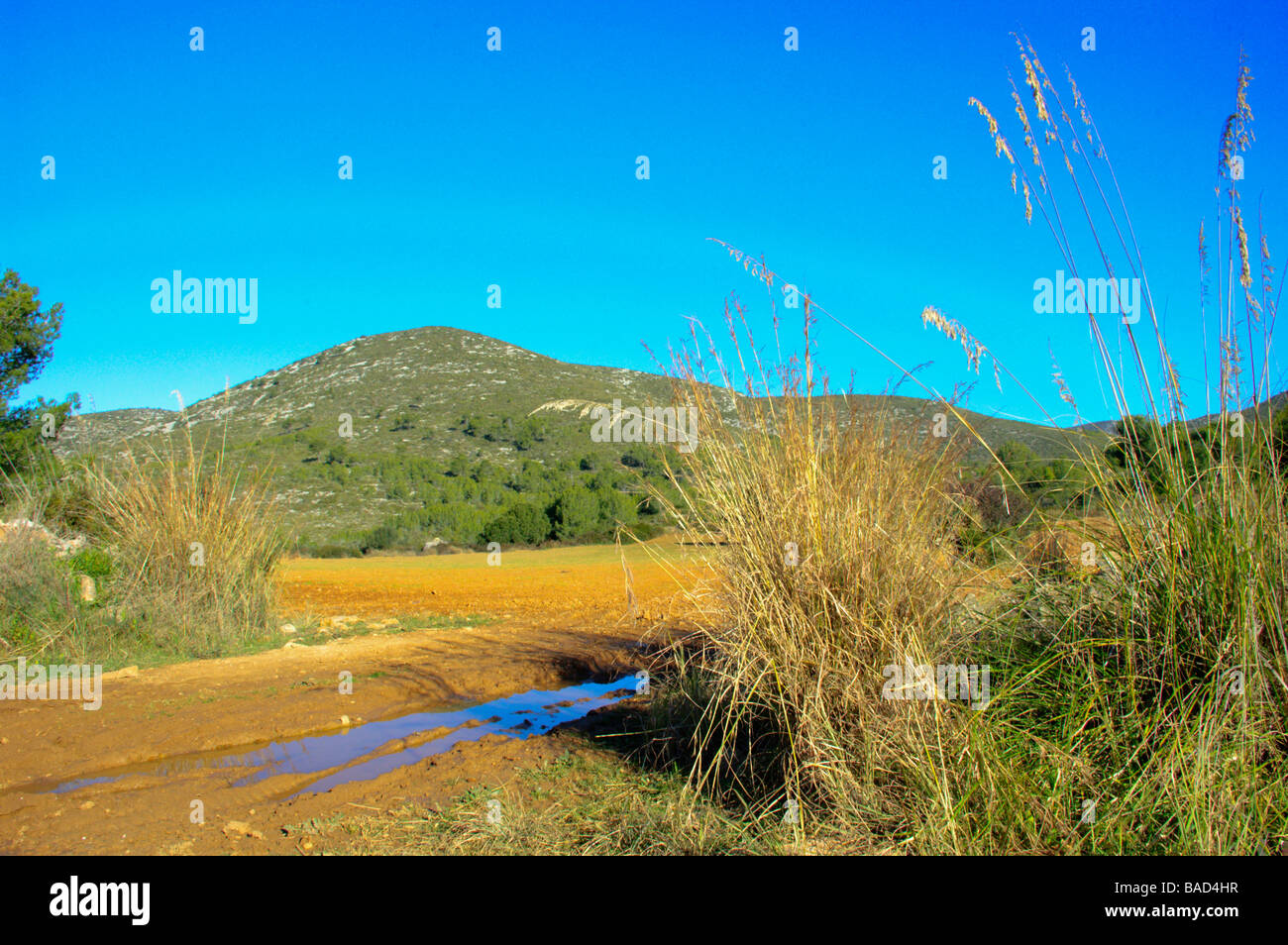 Small puddle on a dirt road in Spanish mountains in Garraf Nature Park Stock Photo Alamy